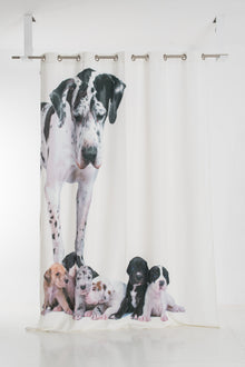  DALMATIAN DOG CURTAIN WITH TROUX