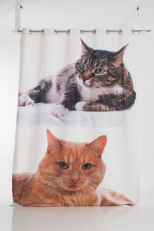  CATS CURTAIN WITH TROUX